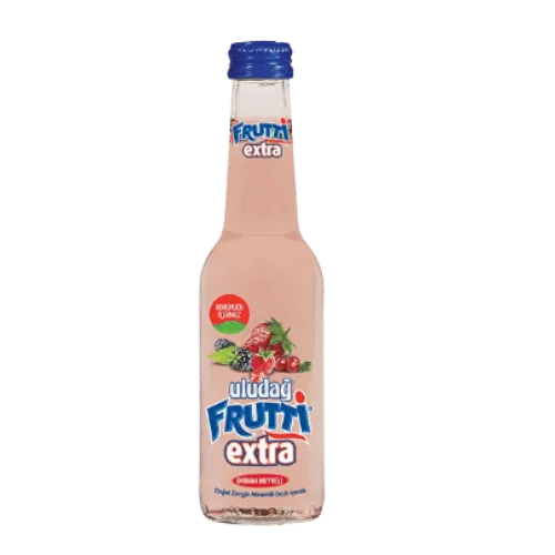 Uludağ Frutti Extra Orman Meyve 250 ml